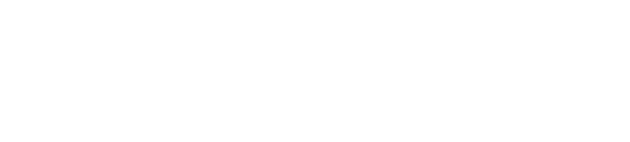 Promoecu Stock